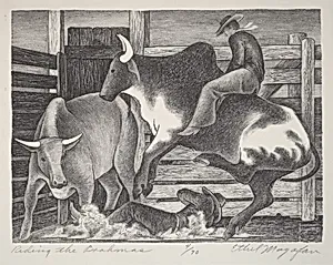 Riding the Brahmas