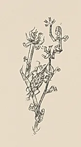 Riesenblattlaus (Giant Aphid) from Deutsche Graphiker der Gegenwart (German Printmakers of Our Time)