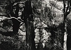 Ritual Indication, Nesscliffe, Shropshire, England