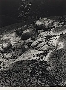 Ritual Stones, Notom, Utah