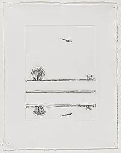 River and Airplane
