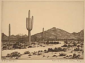 Road to Paradise Valley, Arizona