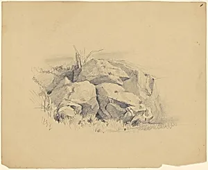 Rocks