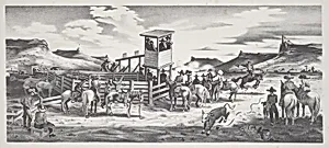 Rodeo