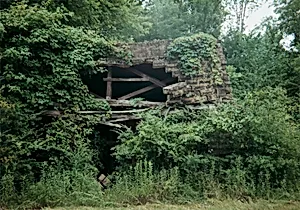 Ruin, Stewart, Alabama