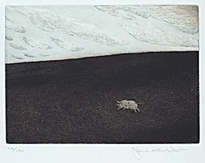 Runaway Pig