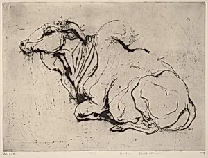 Sacred-bull