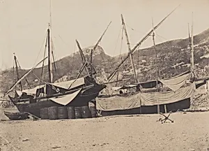 Salerne