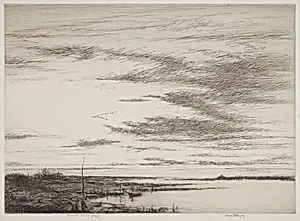 Salt Marshes