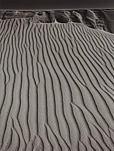 Sand Dunes, Oceano, California