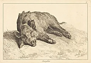 Sanglier (Wild Boar Lying Down, Head to the Left)