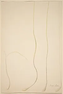 Scallions
