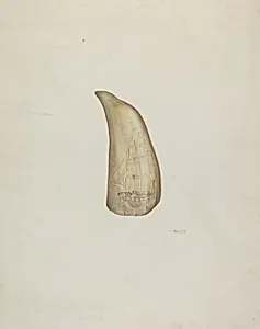 Scrimshaw