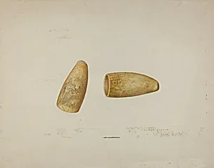 Scrimshaw: Walrus Tusk
