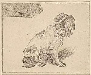 Seated Dog