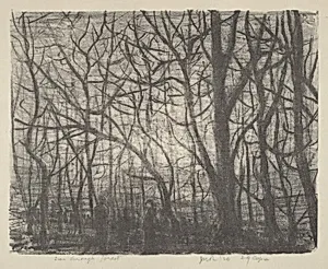 Seen Through Forest