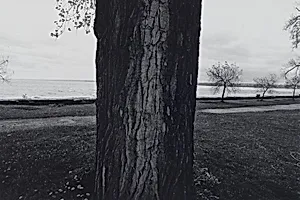 Seneca Lake, New York