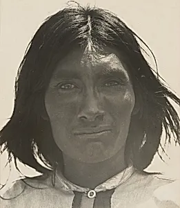 Seri Indian, Isla del Tiburon