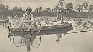Setting the Bow-Net