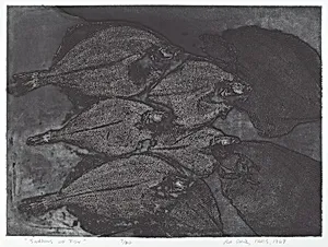 Shadows of Fish