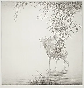 Shadows on the Agawa, No. 2