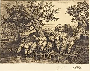 Sheep at the Watering Place (Abreuvoir aux moutons)