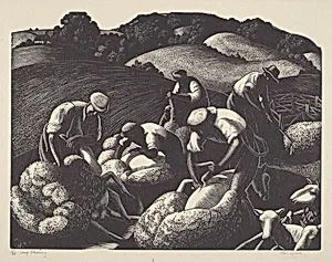 Sheep Shearing