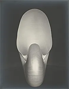 Shell 1