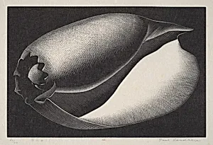 Shell