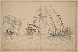 Ships Fighting