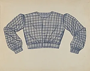 Shirt-waist