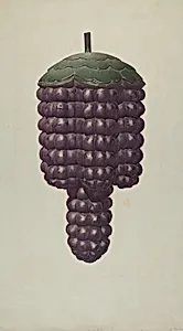 Shop Sign - Grapes