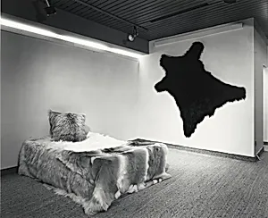 Showroom
