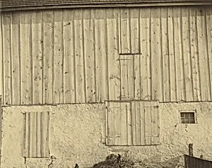 Side of White Barn