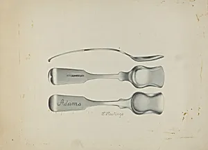 Silver Salt Spoon