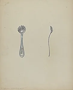 Silver Salt Spoon