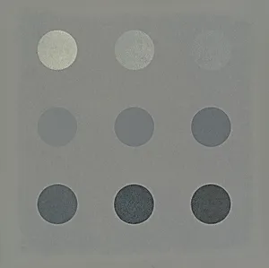 Silver Series