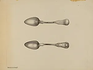 Silver Spoon