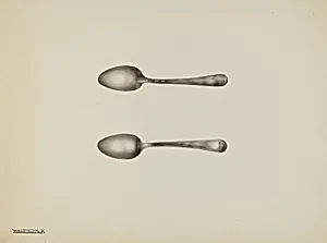 Silver Spoon