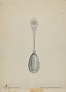 Silver Spoon