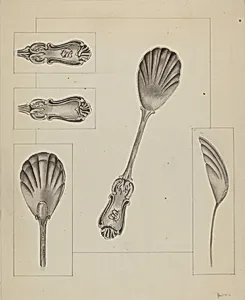 Silver Sugar Spoon