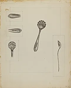 Silver Sugar Spoon
