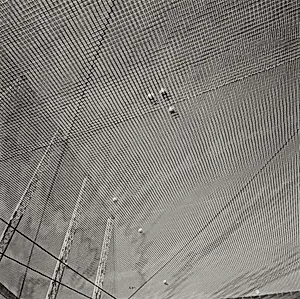 Sin título (Untitled)