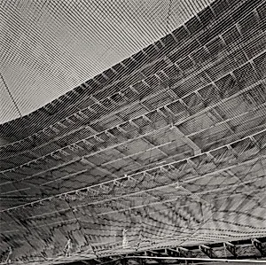 Sin título (Untitled)