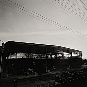 Sin título (Untitled)