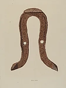 Skid Shoe for Horse