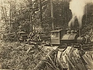 Small Locomotive