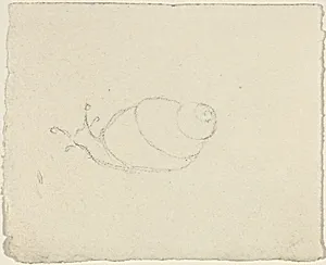 Snails [recto and verso] by John Flaxman