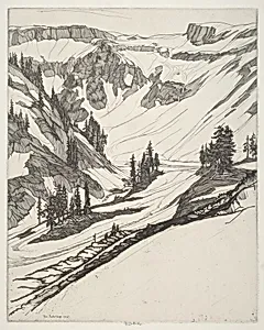 Snowfields
