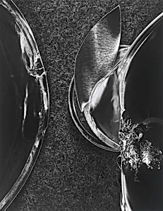 Solitudes 78